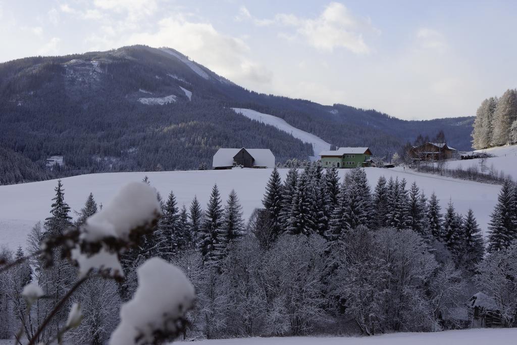 Apartments Grebenec Sankt Blasen ภายนอก รูปภาพ